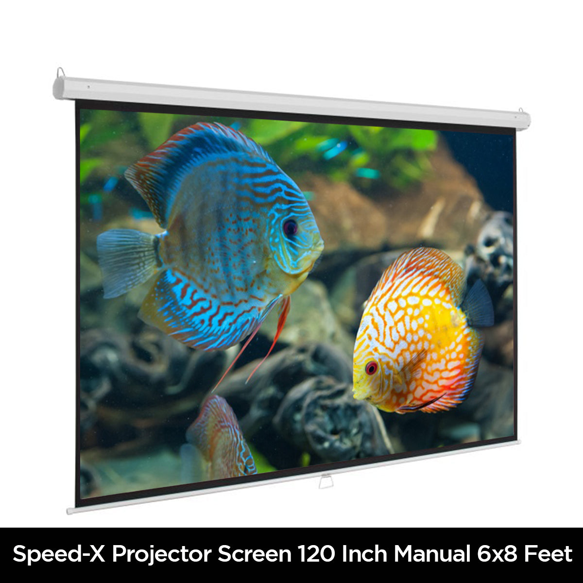 Projector Screen 120 Inch Manual 6x8 Feet 4:3mw Speed-x  (fine Quality)
